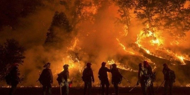 ABD'deki orman yangınlarında New York, Los Angeles ve Chicago kentlerinin toplamı büyüklüğünde alan yandı