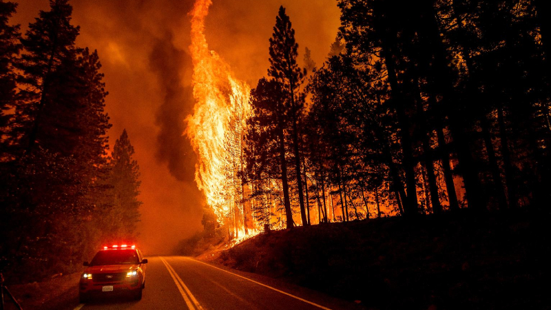 ABD'nin California eyaletindeki orman yangınları devam ediyor: 8 kişi kayıp