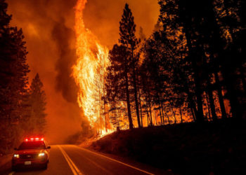 ABD'nin California eyaletindeki orman yangınları devam ediyor: 8 kişi kayıp