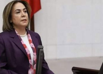 AKP Mersin Milletvekili Zeynep Gül Yılmaz: Sarf ettiğim sözlerden dolayı milletimizden özür diliyorum