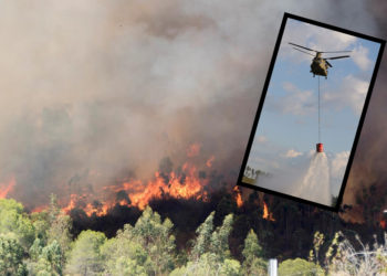 AKP hükümeti, orman yangınları için ABD’den yardım istemiş