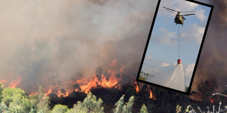 AKP hükümeti, orman yangınları için ABD’den yardım istemiş