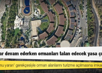 AKP klasiği: Yangınlar devam ederken ormanları talan edecek yasa çıkarmış