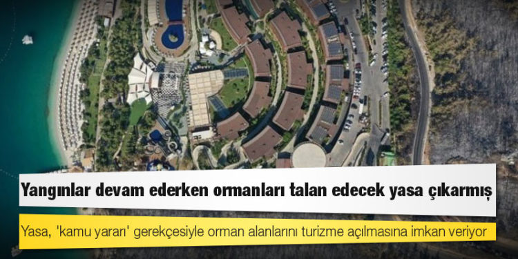 AKP klasiği: Yangınlar devam ederken ormanları talan edecek yasa çıkarmış