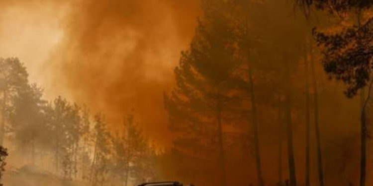 Antalya'da 35 mahalle tamamen, 15 mahalle kısmen tahliye edildi