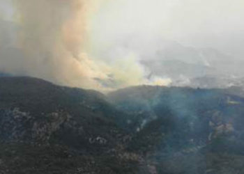 Antalya'nın 4 ilçesinde yangın söndürme çalışmaları devam ediyor