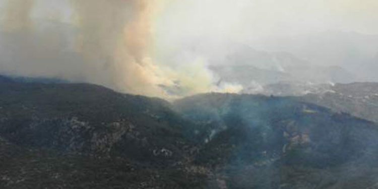 Antalya'nın 4 ilçesinde yangın söndürme çalışmaları devam ediyor