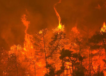 Avrupa'nın güneyi alevlere teslim