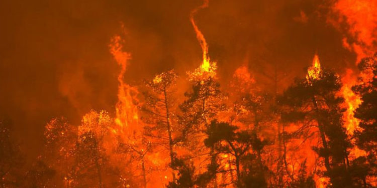 Avrupa'nın güneyi alevlere teslim