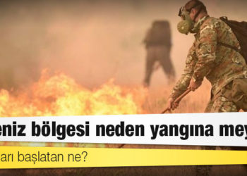 Avrupa'nın güneyi yanıyor: Peki neden?