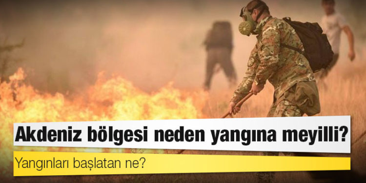 Avrupa'nın güneyi yanıyor: Peki neden?