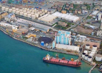 Bahadır Özgür, devletin gübre şirketi Gübretaş'ın hammadde taşımak için aldığı gemilerin Burak Erdoğan'ın ortaklarına satış öyküsünü yazdı