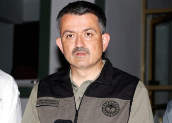 Bakan Bekir Pakdemirli, yangınlarda sorumluluğu belediyelere attı