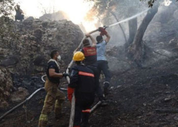 Bakan Ersoy: Antalya, Bodrum, Marmaris'teki yangınlar söndürüldü
