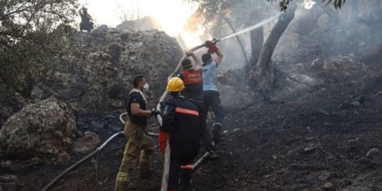Bakan Ersoy: Antalya, Bodrum, Marmaris'teki yangınlar söndürüldü