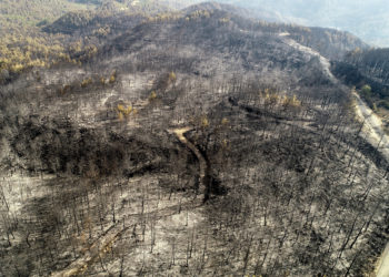 Bilanço ağırlaşıyor; sadece Manavgat’ta 60 bin hektar ormanlık alan kül oldu