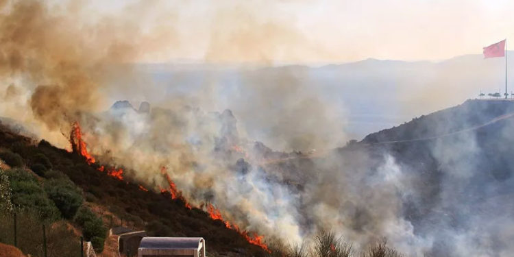 Bodrum Mumcular'daki yangınla ilgili 3 kişi tutuklandı