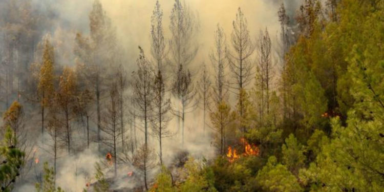 Bucak’taki orman yangını yerleşim alanlarına sıçradı; köyler boşaltıldı