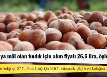 CHP Ordu Milletvekili Mustafa Adıgüzel: 27 liraya mâl olan fındık için alım fiyatı 26,5 lira, öyle mi?