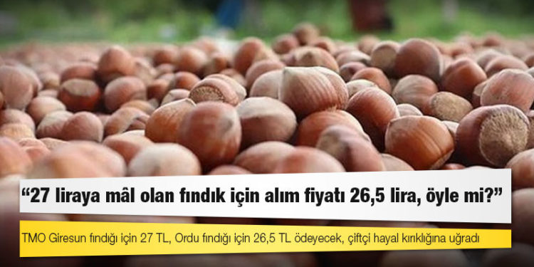 CHP Ordu Milletvekili Mustafa Adıgüzel: 27 liraya mâl olan fındık için alım fiyatı 26,5 lira, öyle mi?