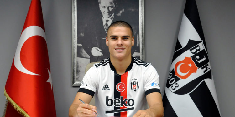 Can Bozdoğan, Beşiktaş'ta