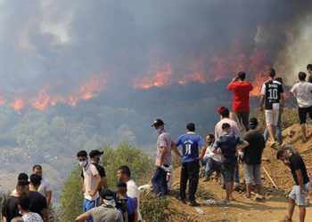 Cezayir'deki orman yangınlarında hayatını kaybedenlerin sayısı 69'a yükseldi