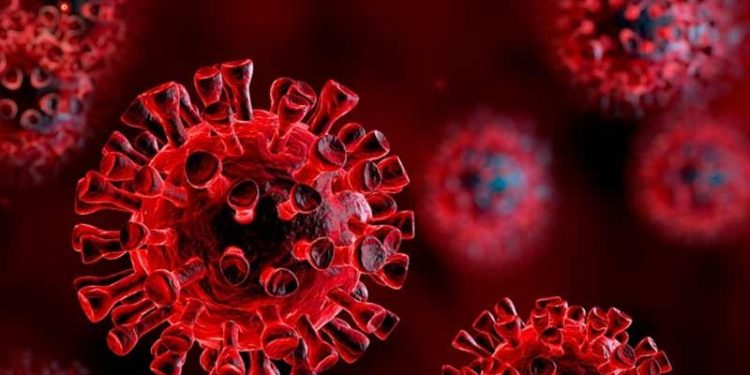 Covid-22 uyarısı: Daha ölümcül olabilir