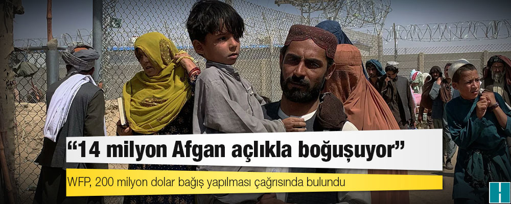 Dünya Gıda Programı: 14 milyon Afgan açlıkla boğuşuyor