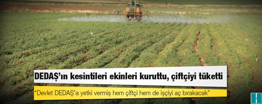 DEDAŞ’ın kesintileri ekinleri kuruttu, çiftçiyi tüketti