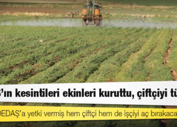 DEDAŞ’ın kesintileri ekinleri kuruttu, çiftçiyi tüketti