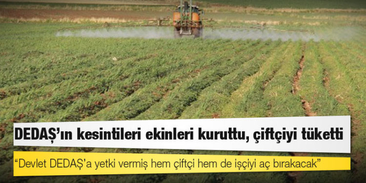 DEDAŞ’ın kesintileri ekinleri kuruttu, çiftçiyi tüketti