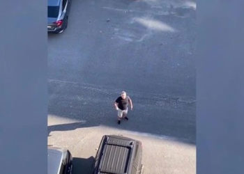 Daire 16'dan İbrahim Kaya, sokak köpeğini savundu: Bu mahallede onun da yaşamaya hakkı var