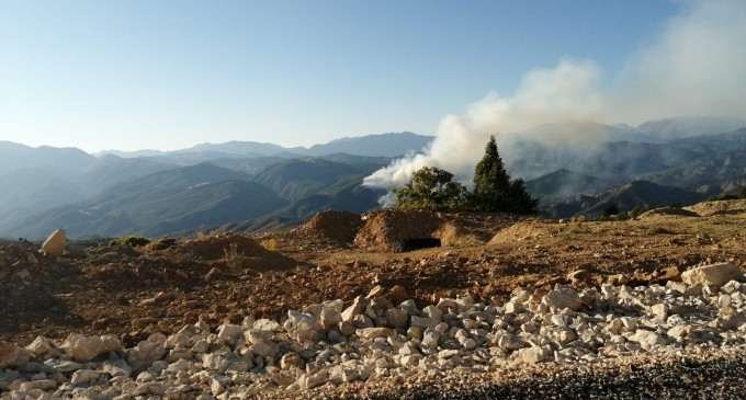 Dersim’deki yangına karşı harekete geçme çağrısı