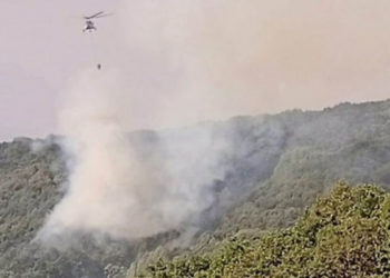 Dersim’deki yangına 13 gün sonra müdahale