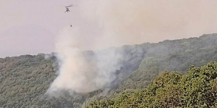 Dersim’deki yangına 13 gün sonra müdahale