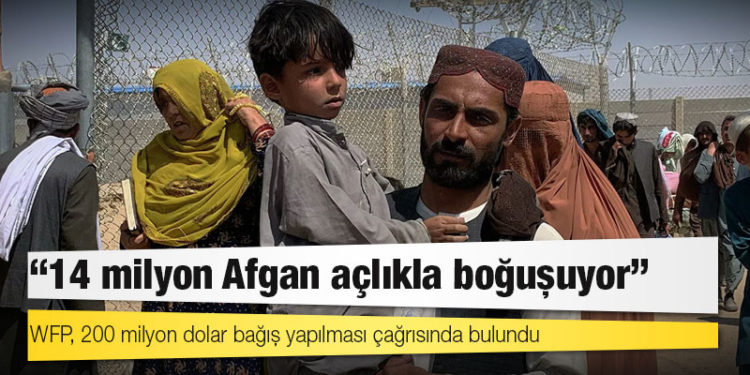 Dünya Gıda Programı: 14 milyon Afgan açlıkla boğuşuyor