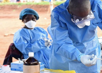 Dünya Sağlık Örgütü'nden Marburg humması uyarısı: Yarasalar aracılığıyla bulaşıyor, ölüm oranı yüzde 90'a kadar çıkabiliyor