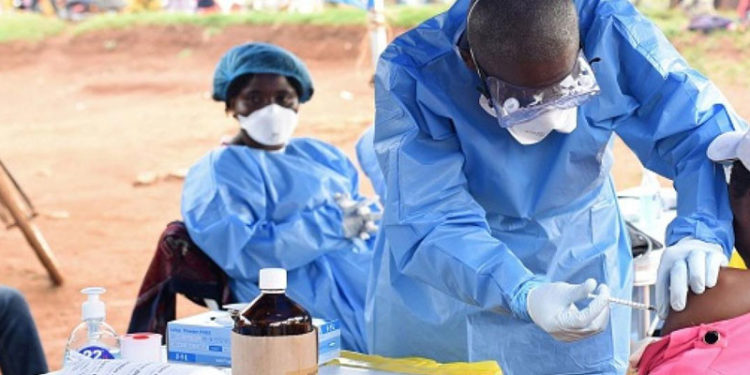 Dünya Sağlık Örgütü'nden Marburg humması uyarısı: Yarasalar aracılığıyla bulaşıyor, ölüm oranı yüzde 90'a kadar çıkabiliyor