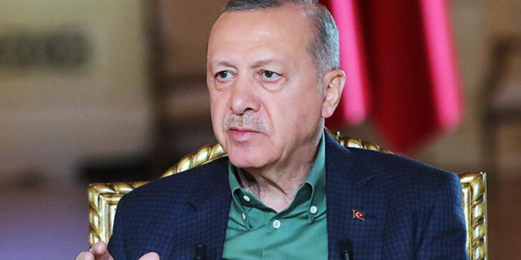 Dünya yazarı Aktaş: Erdoğan'ın mesajı kimlere?