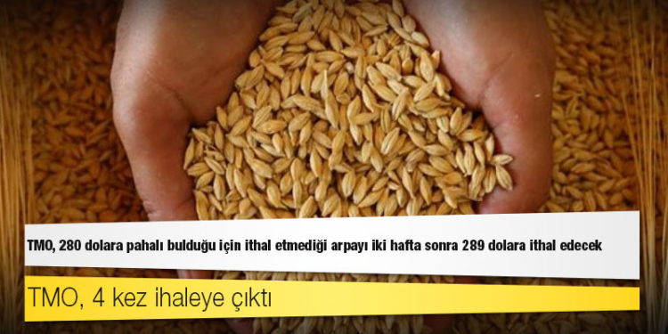 Dünya yazarı: TMO, 280 dolara pahalı bulduğu için ithal etmediği arpayı iki hafta sonra 289 dolara ithal edecek