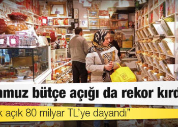 Ekonomist Erdal Sağlam: 'Temmuz bütçe açığı da rekor kırdı, 7 aylık açık 80 milyar TL’ye dayandı'