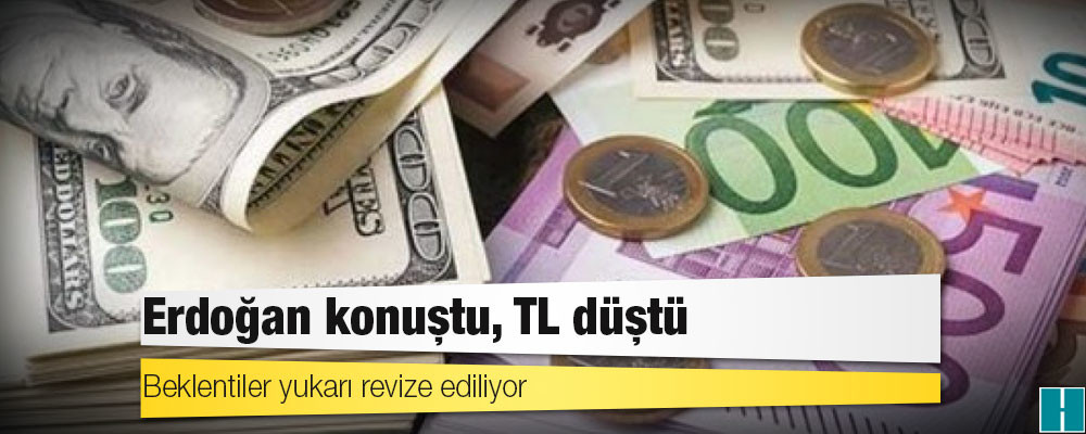 Erdoğan konuştu, TL düştü