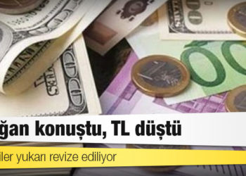 Erdoğan konuştu, TL düştü