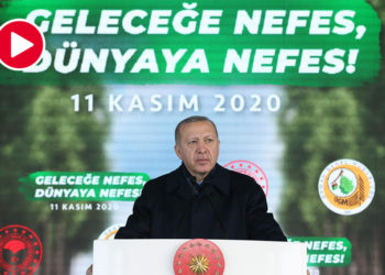 Erdoğan’ın 11 Kasım’daki konuşması: Ormanları 7 gün 24 saat gözetliyoruz