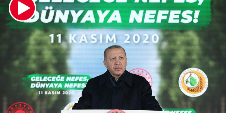 Erdoğan’ın 11 Kasım’daki konuşması: Ormanları 7 gün 24 saat gözetliyoruz
