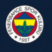 Fenerbahçe'de Caner Erkin ve Sinan Gümüş kadro dışı bırakıldı