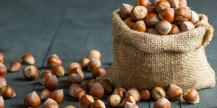 FİSKOBİRLİK Başkanı Bayraktar: Fındık üreticisinin beklentisi ton başına 30-35 bin liraydı