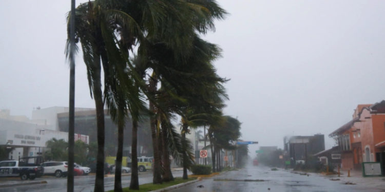 Grace Kasırgası'nın vurduğu Meksika'da sel ve heyelan: 8 ölü