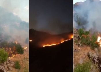 Hakkâri Şemdinli’de orman 3 gündür yanıyor, hiçbir müdahale yok