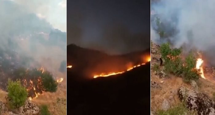 Hakkâri Şemdinli’de orman 3 gündür yanıyor, hiçbir müdahale yok